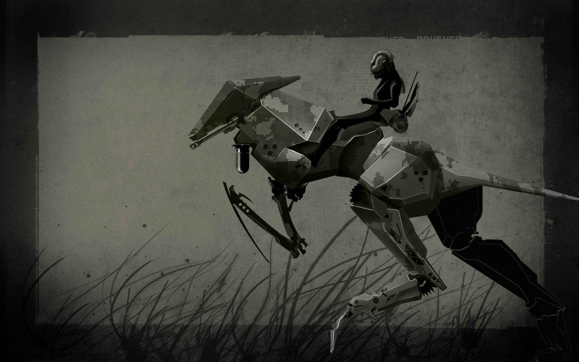 portfolio24